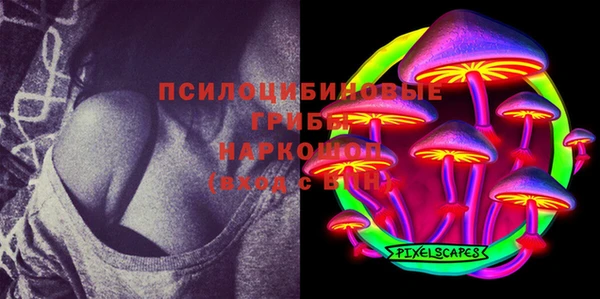гидра Саяногорск