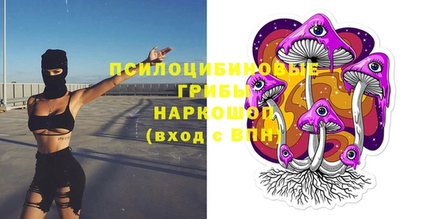 прущий лед Ельня
