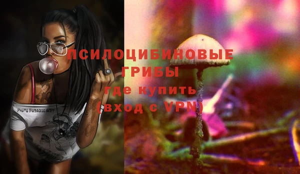 гидра Саяногорск