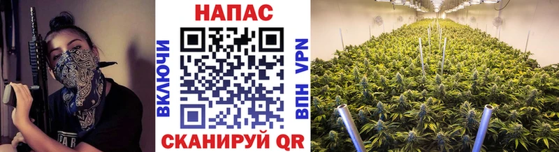 Конопля THC 21%  Пущино 